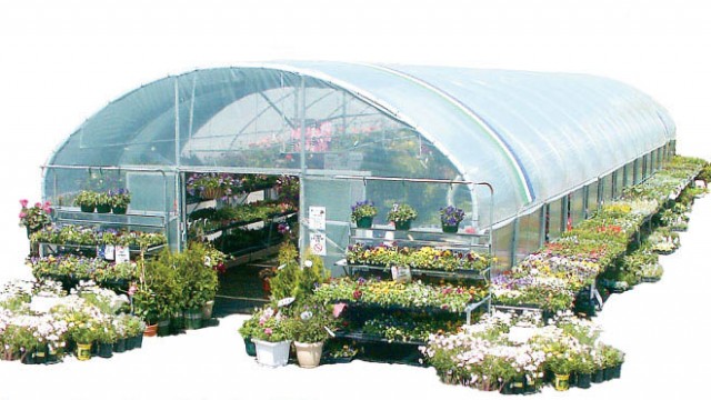 greenhouse retail toko bunga