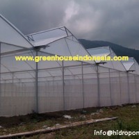 greenhouse single spain