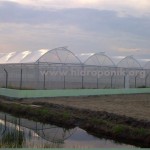greenhouse indonesia